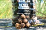 Fish-Mussel Boilies
